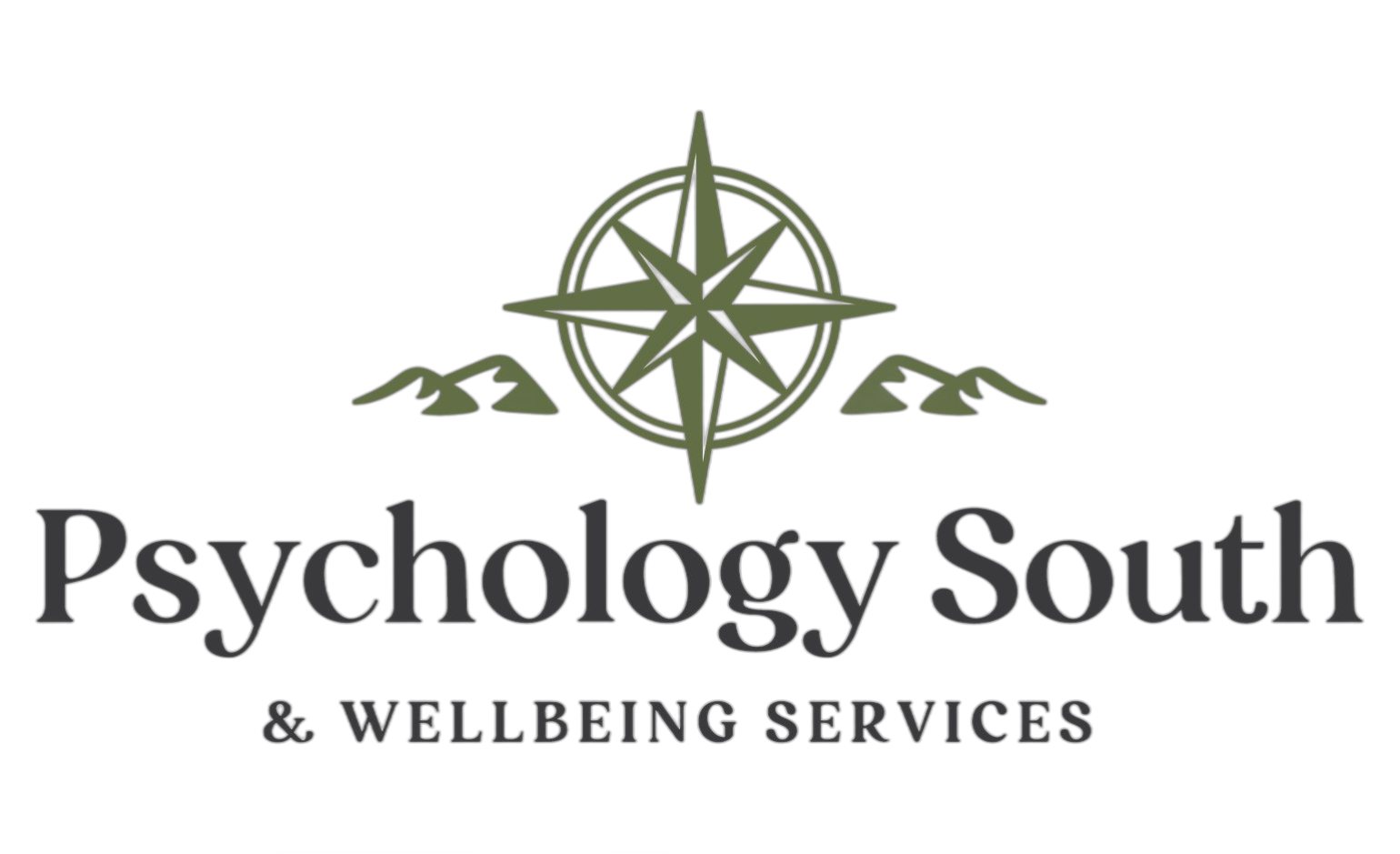 PsychologySouth_Logo_Primary_FullColor_WhiteBackground-01-veed-remove-background